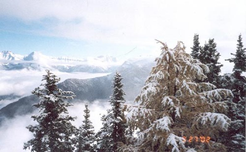 Sulphur Mount View.