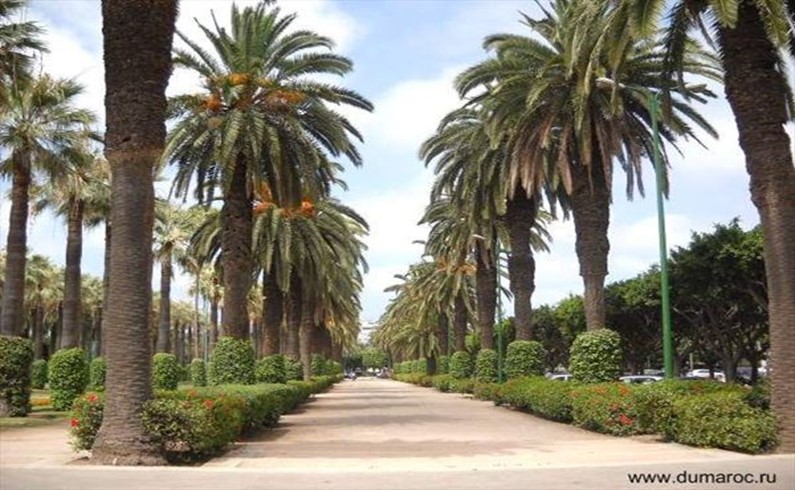 Центральный парк в Касабланке