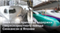 Сверхскоростной поезд в Японии задержали из-за необычного пассажира - змеи